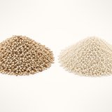 Sesame seeds, close-up